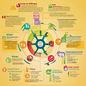 Bold Ops Consulting Continuous Improvement Services