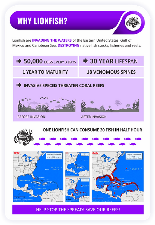 Infographic Lionfish Aquatic Hunt 2