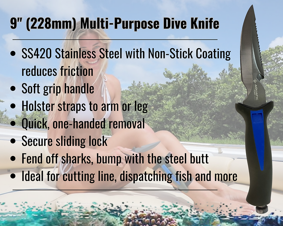 Thumbnail: Wholesale - 9" Dive Knife (230mm) Stainless Steel with Sheath - Case Pack 3