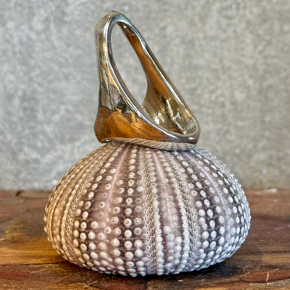 Thumbnail: Ceto Ring in Sterling Silver