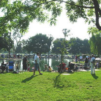 PLAZA WISHERFISH 05.JPG