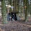 Miniaturbild: BUSHCRAFT  SPAIN Polish Poncho Lavvu