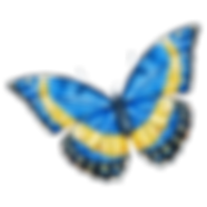 Watercolor Butterfly 10