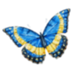 Watercolor Butterfly 10