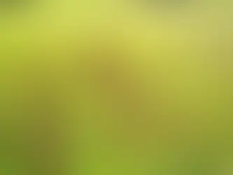 How Weather Impacts Commercial Landscape Maintenance (and What Professionals Do About It)