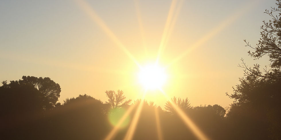 Keeping Your Landscape Healthy During Extreme Heat