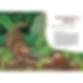 This animal education book explores the journey to maturity of many animal babies including the platypus, giraffe and lion.