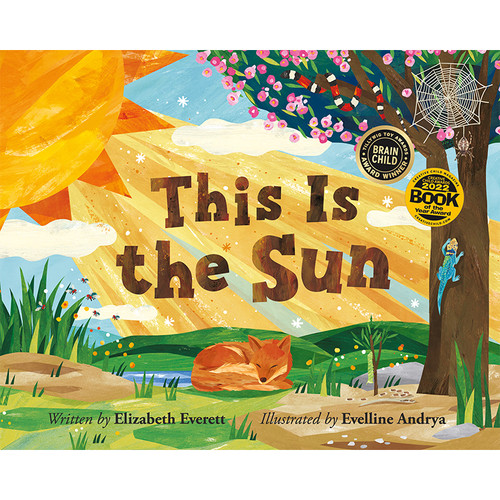 This Is the Sun | Science, Naturally!