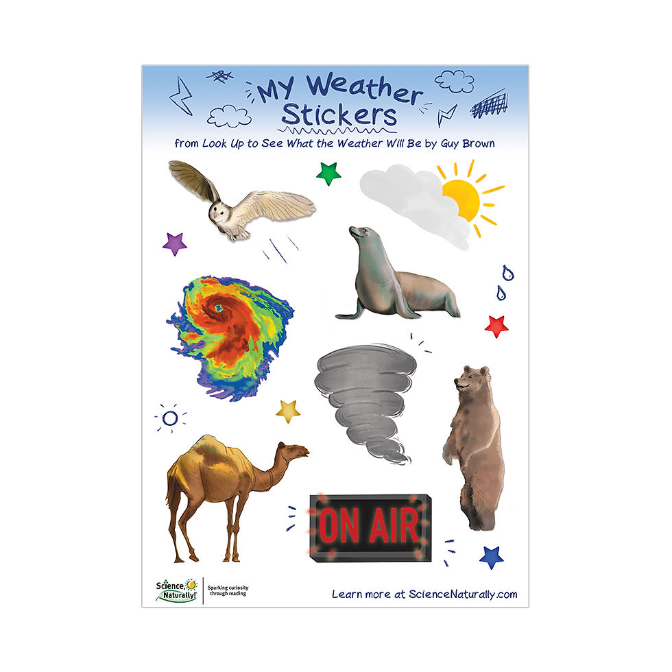 Thumbnail: Meteorologist in Training Set