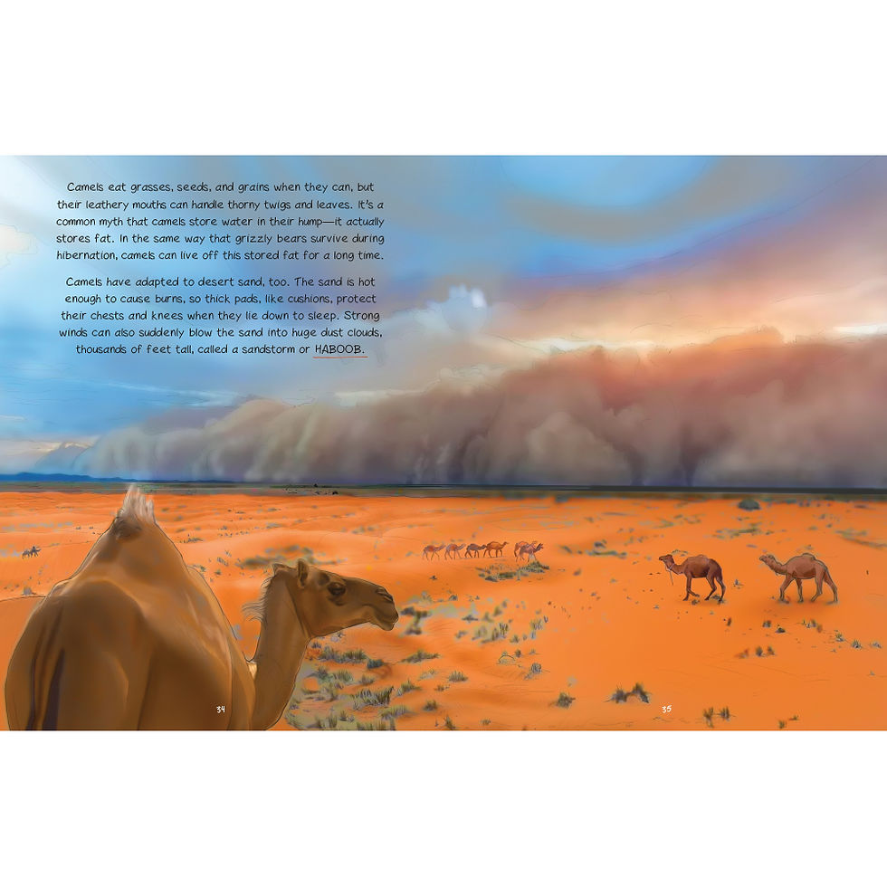 Thumbnail: Animals and Their Habitats Paperback Book Set