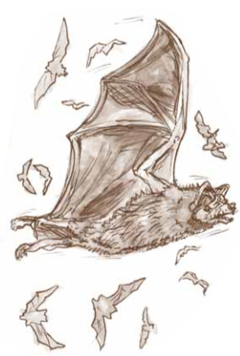bats bat bat appreciation day mammals science nature early education