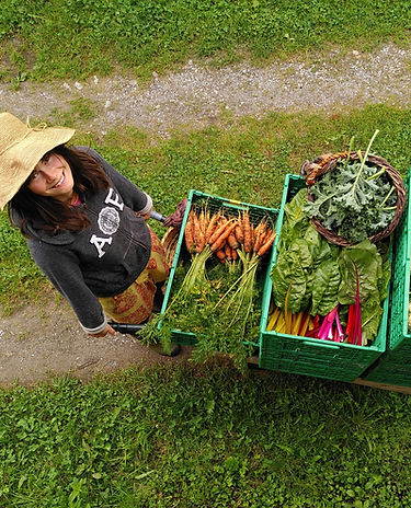 WhatsApp Image 2021-08-21 at 08.22.36 (1).jpeg