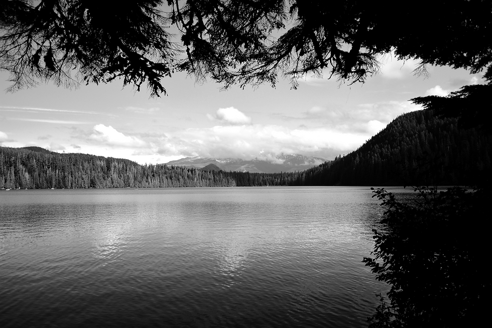 DSC_0085.JPG