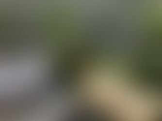 How to Weather Layoff Season?