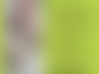 Beginner Wheel Throwing with Shivaun Gingras, Saturdays