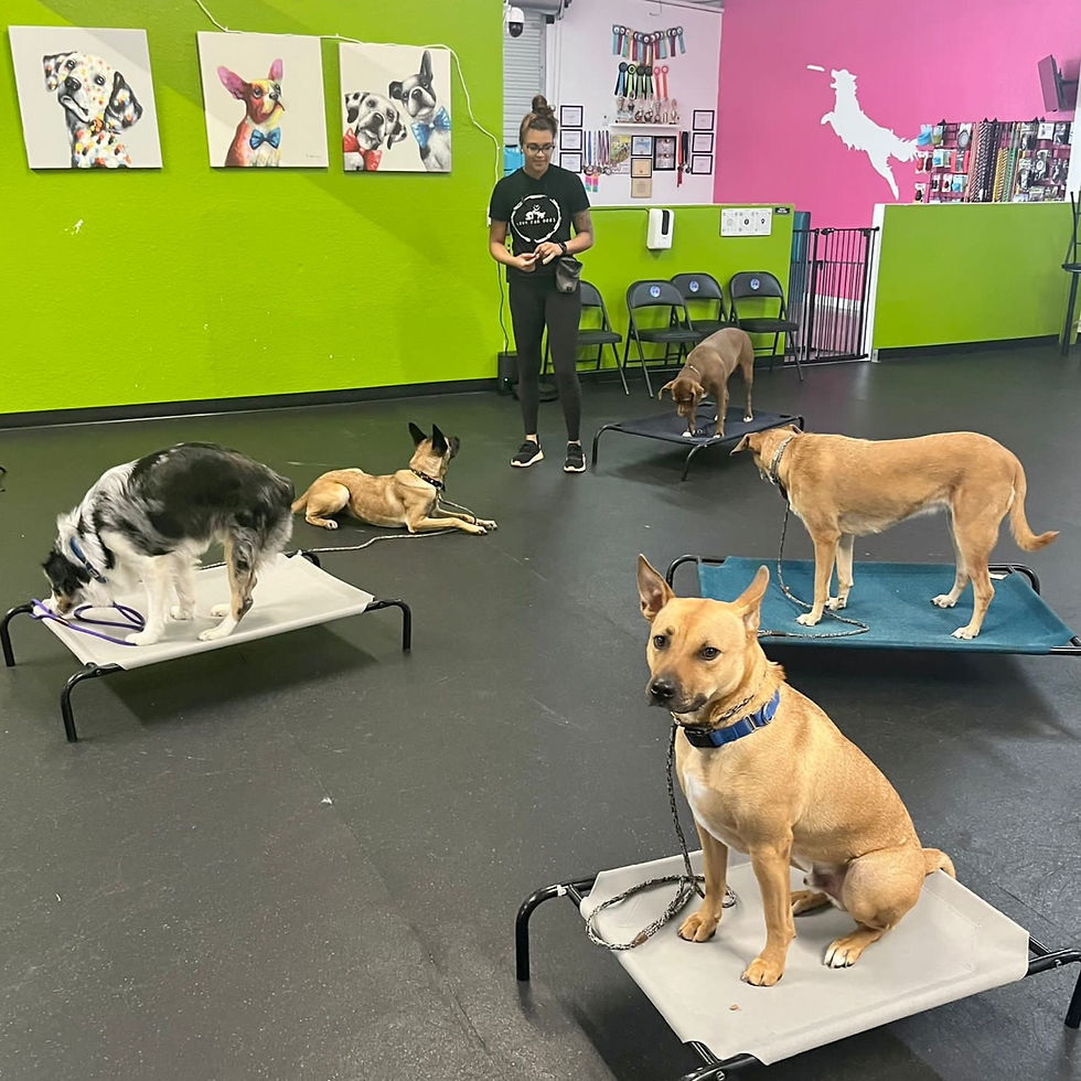 5 Days of Refresh Training and Daycare