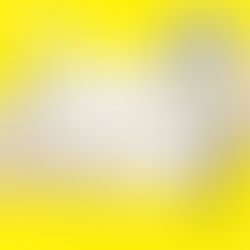 【募集】2021.2.5 fri-3.16 tue ジャンルレスグループ展 [intersection10]