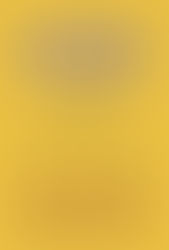 宣誓! -SENSEI- 2015 12/12-12/25