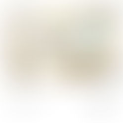 【募集】2021.12.2 thu-12.26 sun ジャンルレスグループ展 [intersection13]