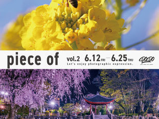2026 6.12 fri-6.25 thu group photo exhibition[piece of vol.2] suported by [#]