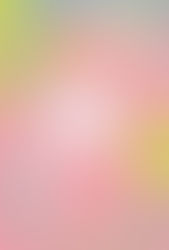 2016 7/18-7/24 2人展「ジゲワハビ」