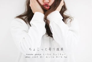 2017  7/21 fri - 7/23 sun (時間変動制) group photo exhibition [ちょこっと寄り道展] ※入場無料