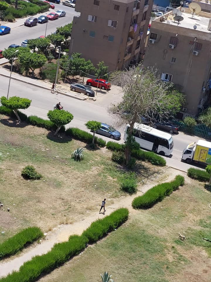 الصورة المصغرة: للبيع شقه بمدينة نصر الحي السابع مطلة علي حديقة مساحة 145 مترالدور العاشر
