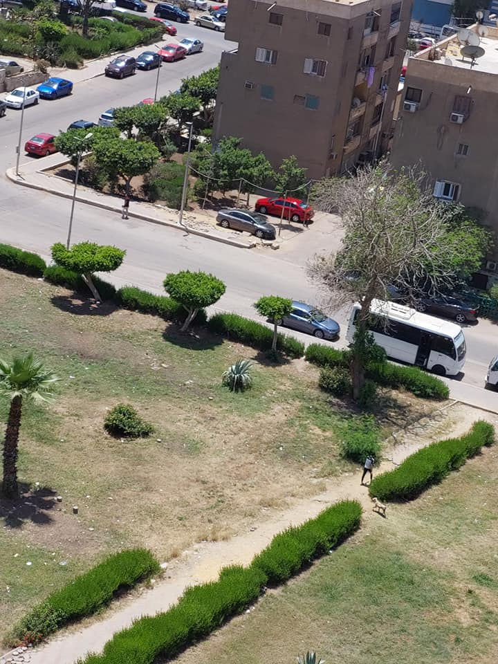 الصورة المصغرة: للبيع شقه بمدينة نصر الحي السابع مطلة علي حديقة مساحة 145 مترالدور العاشر
