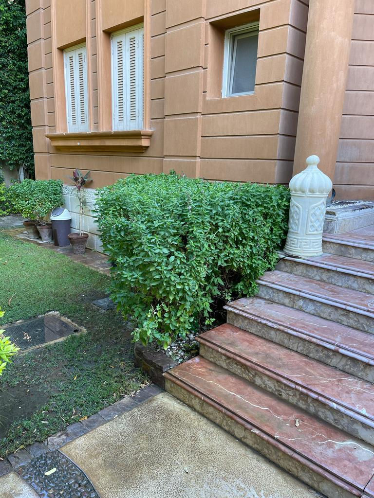 الصورة المصغرة: للبيع ڤيلا بالعفش بكمبوند لجندا الشيخ زايد بجانب اركان مساحة الارض 760 متر