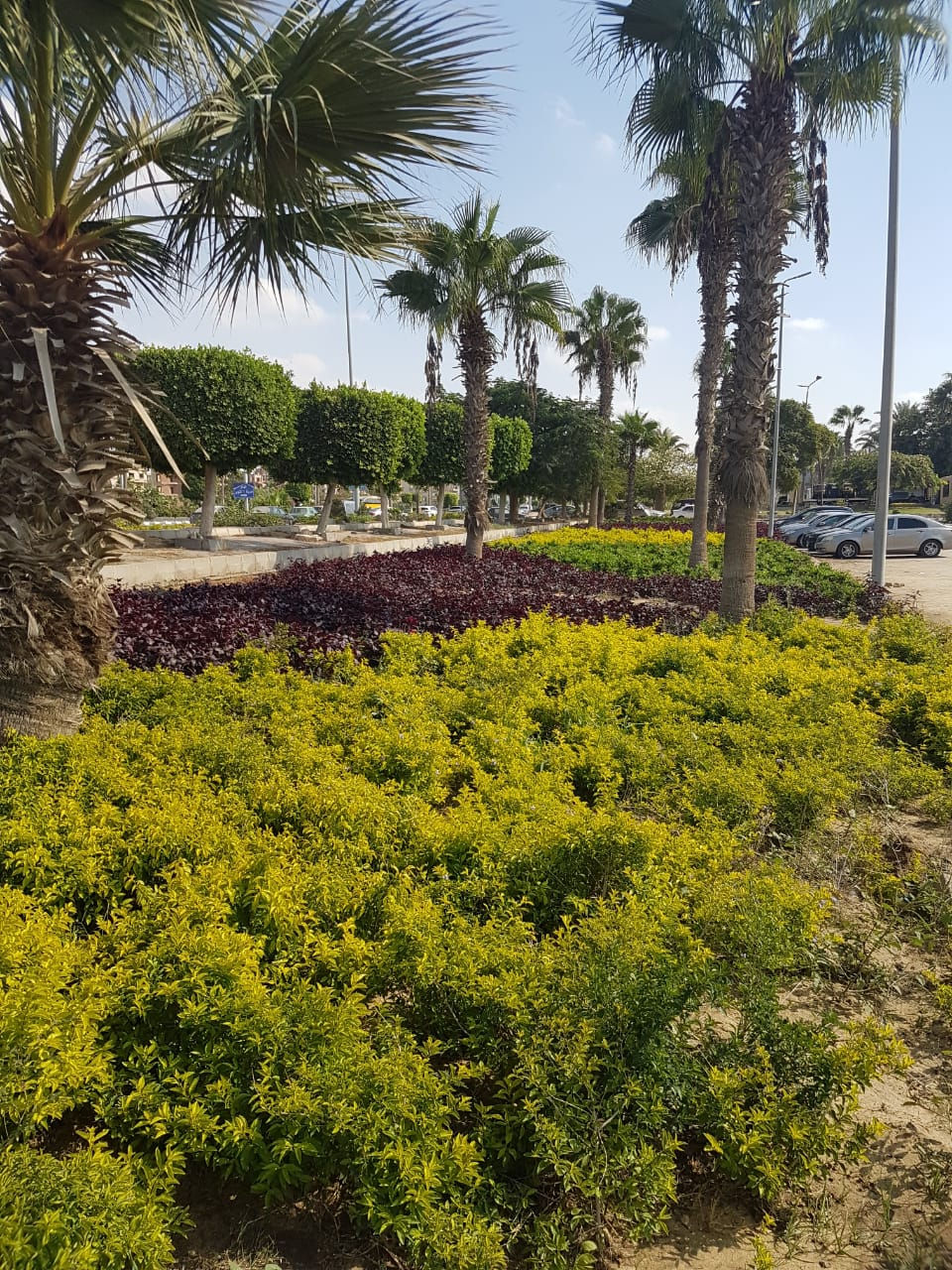 الصورة المصغرة: للبيع ڤيلا بحدائق اكتوبرزهور سيتي مساحة الارض  150 متر مربع (3-043-257)