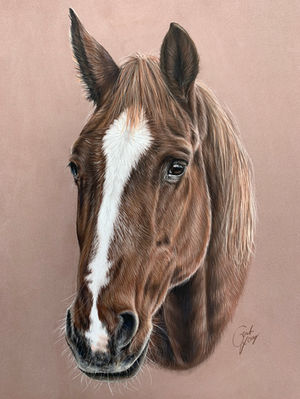 Pastellzeichnung, Pferdeportrait, Auftragszeichnung, Tierportrait in Auftrag, Zeichnung nach Fotovorlage, Pferdezeichnung, Greta Lorenz Auftragsmalerei