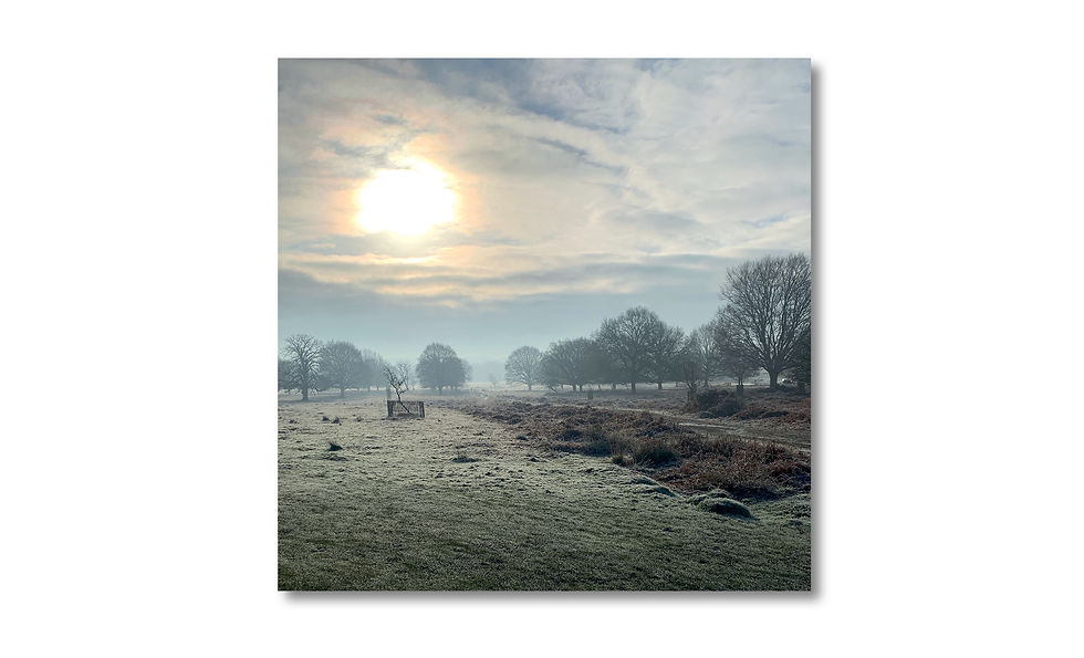 Thumbnail: Richmond Park cards - 4 pack