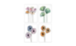 Flower illustrations - 4 pack