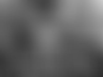 NEW INSPECTOR STARK BOOK OUT THIS WEEK