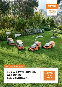 2242618_cashback-print-ad-example.webp