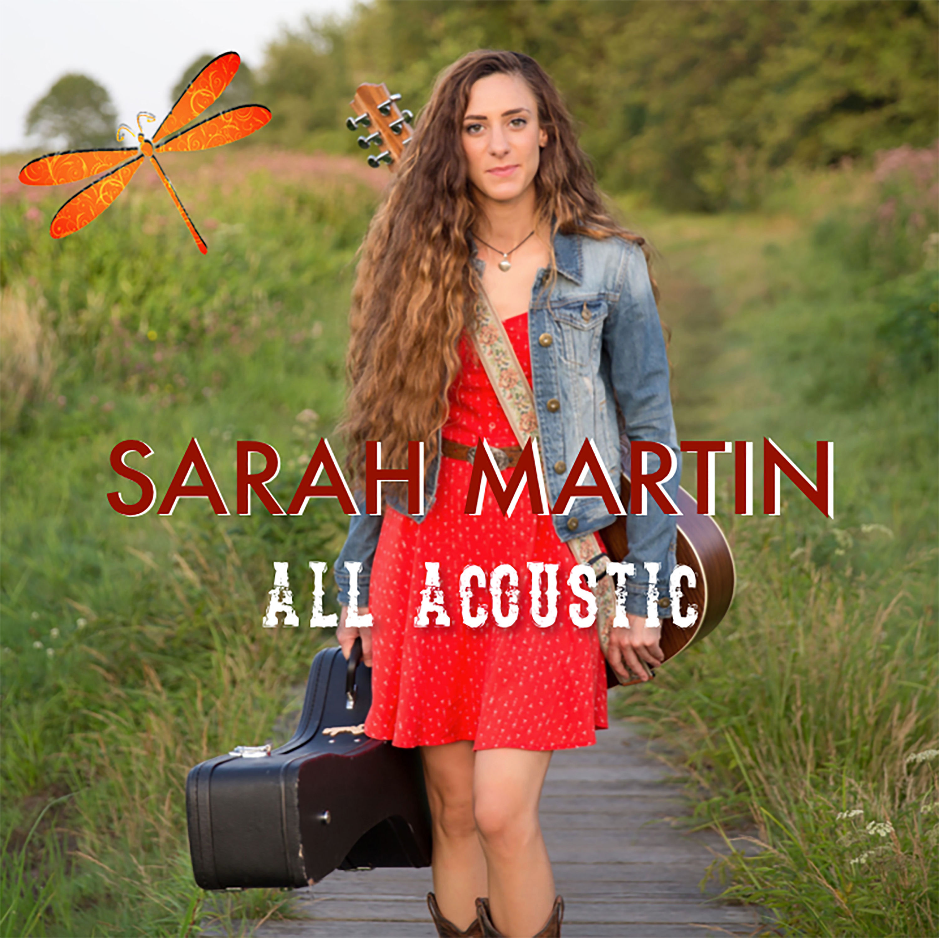 All Acoustic CD (2015)
