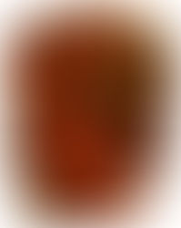 GENTI DI TERRE LONTANE