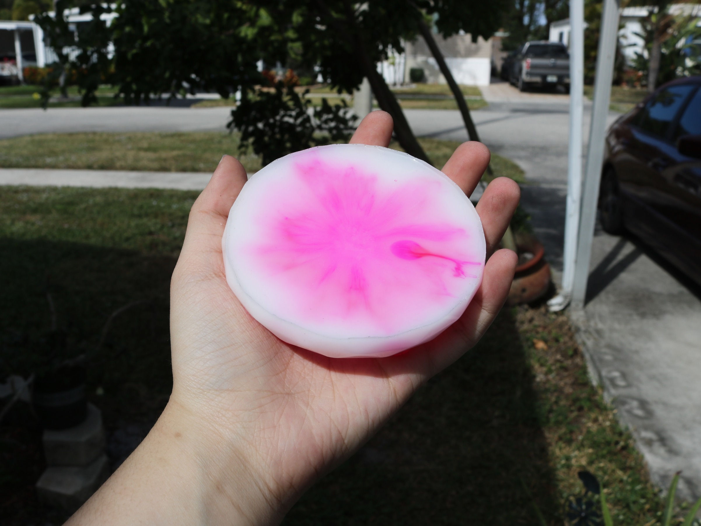 Strawberry Cow Display Stand