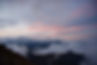 DSC_5374.jpg