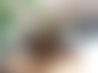 Is Your Kitchen Big Enough To Cater For Family Gatherings?