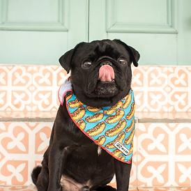 DavandDede-Newstead-0738_1800x1800.webp