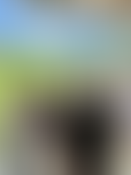 The lab rocks the Human Genetics Research Day