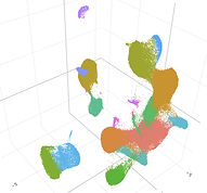 scRNA_edited.jpg