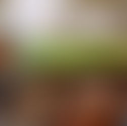 Darf nicht sein: Ottensen ohne La Cantina!