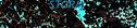 Untrue Blue WM.jpg