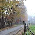 Backroad in fall