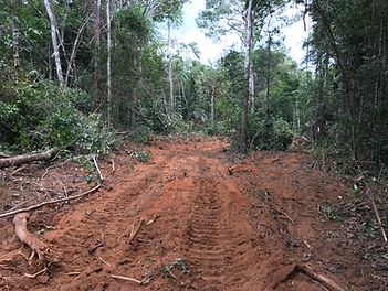 1•Abrir estrada (Manejo).HEIC