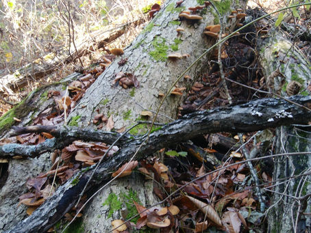 その時々の思い