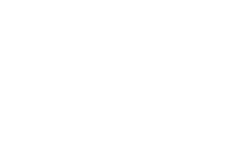 OFFICIAL SELECTION - VOB Film Festival -