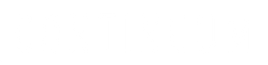 White Continuum logo
